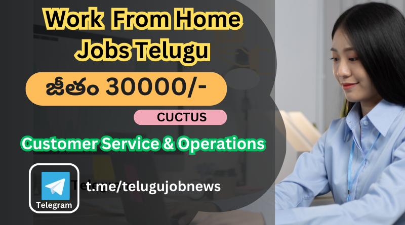 Telugu Work from Home jobs Part Time Jobs